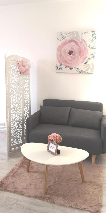 Diamond Apartment Târgu-Mureş المظهر الخارجي الصورة