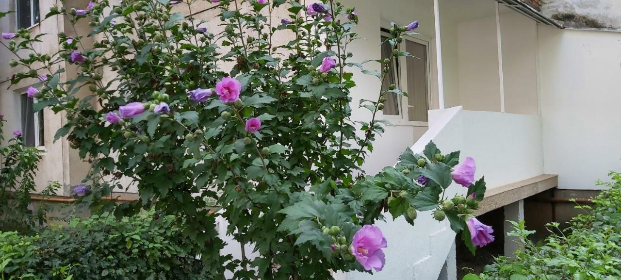 Diamond Apartment Târgu-Mureş المظهر الخارجي الصورة